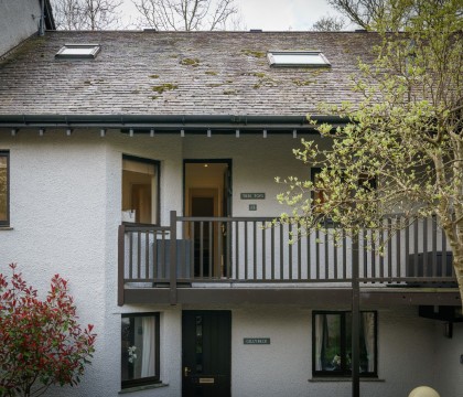 Tree Tops at The Falls - Ambleside
